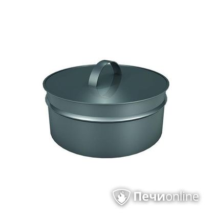 Заглушки Теплов и Сухов Заглушка ревизии Термо-Р 304 0.5 D220(120) в Новосибирске